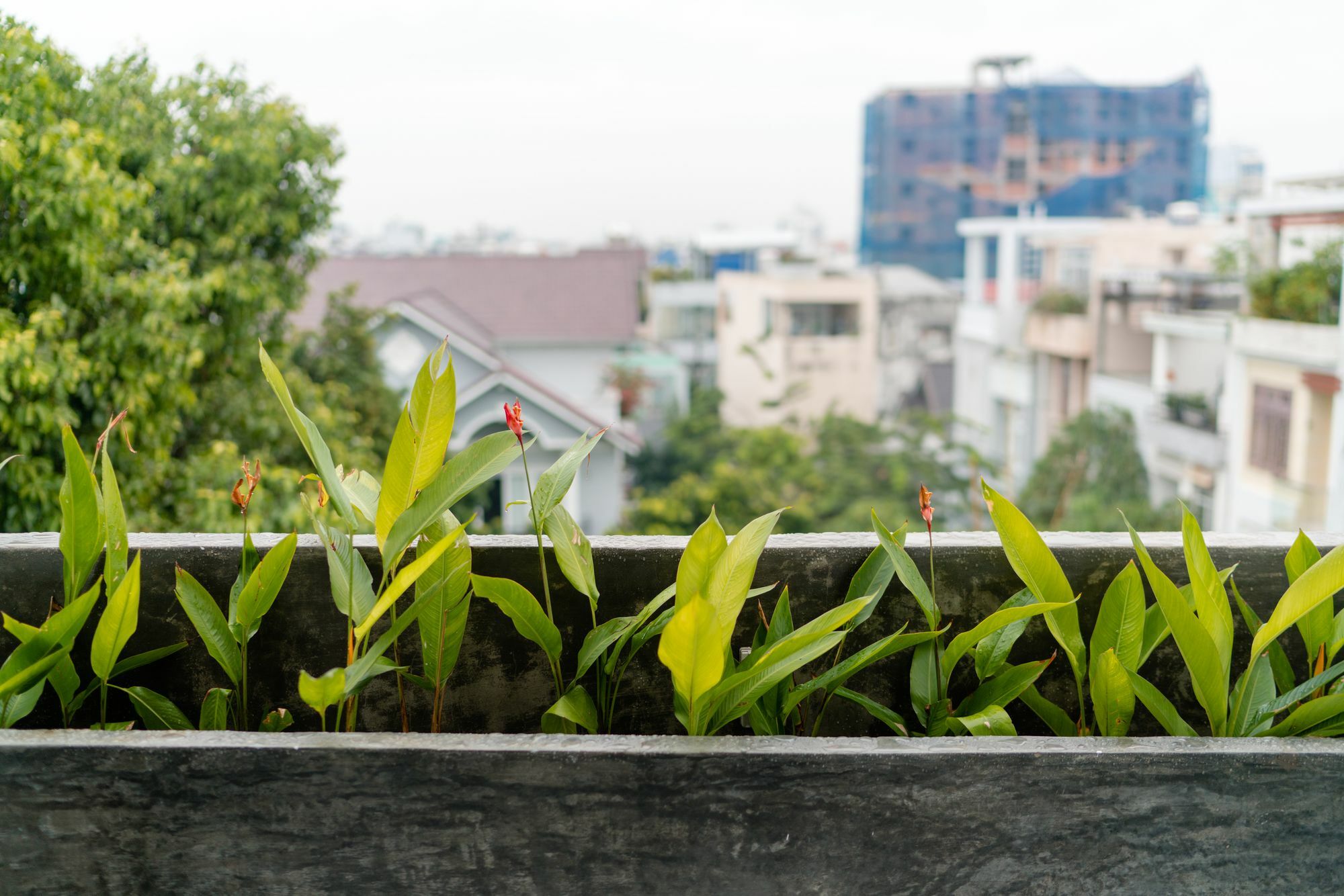 IAMSAIGON homestay Bandar Ho Chi Minh Luaran gambar